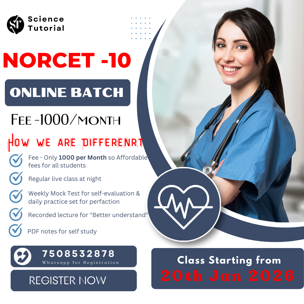  NORCET-10 Crash Course -26