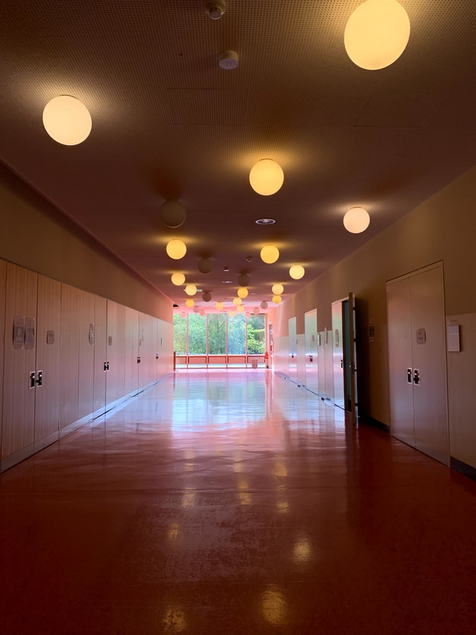 Company Vision Feature