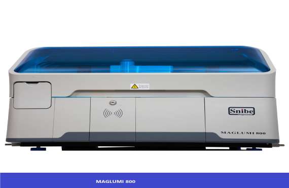 MAGLUMI 800 Gallery