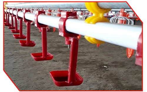Poultry Drinking System | V - Tech Agro Industries | poutry drinking sytems in mohali - GLK3979