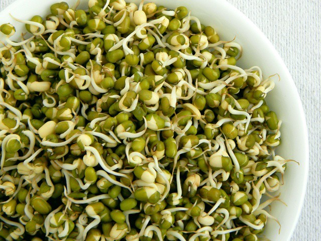 Sprouted Mung Beans 250 gm | Annapurna Green Foods | sprouted moong, Sprouted Green Gram, Sprouted Moong, Moong beans, ready to eat moong  - GLK1366