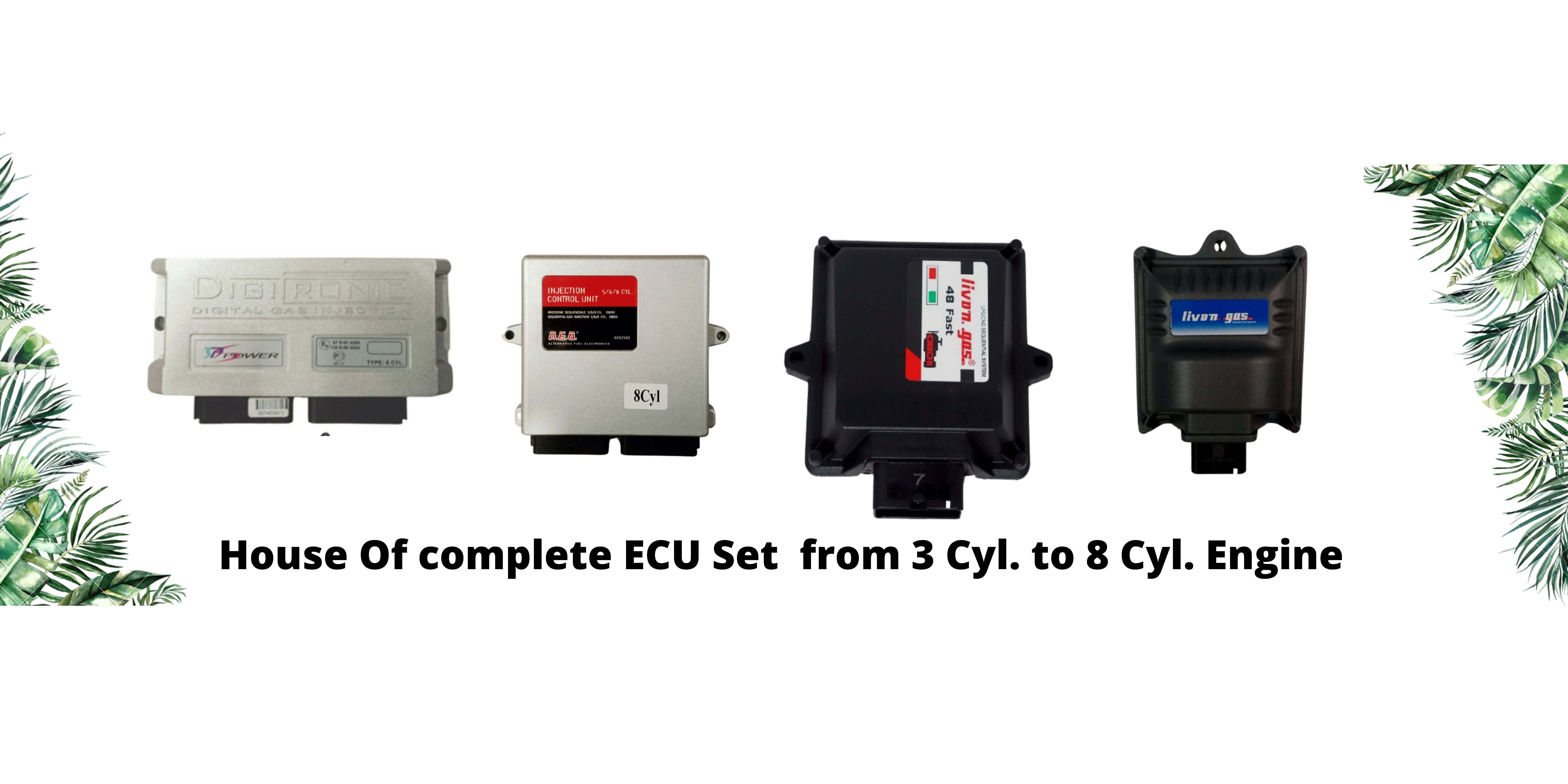 CNG/LPG (Electronic Control Unit) | Livon Gas Equipments | CNG Sequential Kit in delhi , LPG Sequential Kit in delhi, CNG Sequential Kit in UP , LPG Sequential Kit in UP, best ECU for CNG - GLK3949