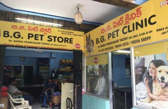 B G PET CLINIC & STORE, dog clinic in lingampally,dog clinic in chandanagar,dog clinic in bhel,dog clinic  in patancheru,dog clinic in Kukatpally,dog clinic  in kphb,dog clinic in Hyderabad,dog clinic in 