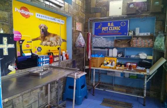 B G PET CLINIC & STORE, pet clinic in Hitech city,pet clinic in bhel,pet clinic in patancheru,pet clinic in lingampally,pet clinic in hafeezpet,pet clinic in khukatpally,pet clinic in kphb,pet clinic in