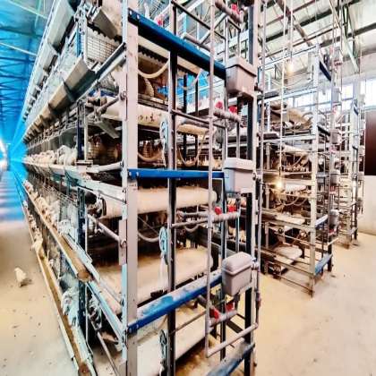 H Type Chick Cum Grower Cage, Automatic Layer Battery Cage  in india
