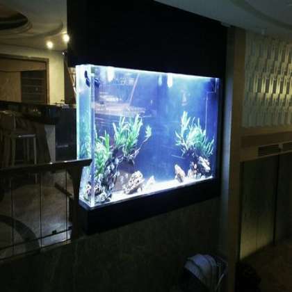 Hotel Aquarium , fish aqurium shop in chandigarh