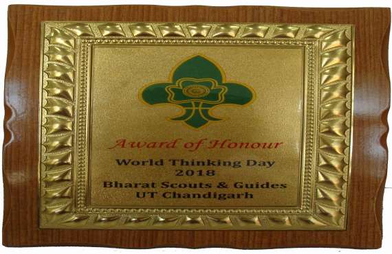 WOODEN 1528   , Wooden trophy manufacturer in Chandigarh