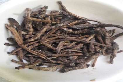 D&G Herbs, Picrorhiza kurroa, kutki, katuka