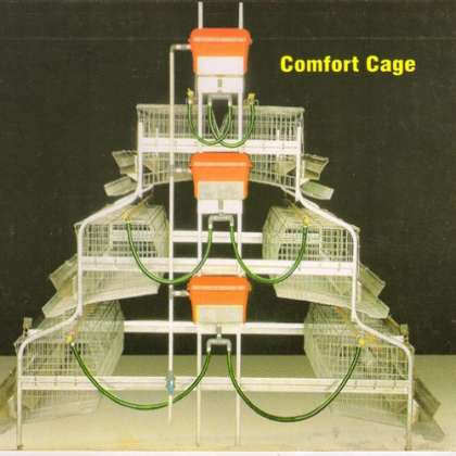Comfort Layer Cage, Comfort Layer Cages in mohali