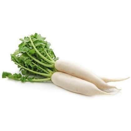 Radish White, Organic Vegetables in hyderabad,Organic Vegetables in miyapur,Organic Vegetables in kukatpally,Organic Vegetables in gachibowli,Organic Vegetables in hitech city