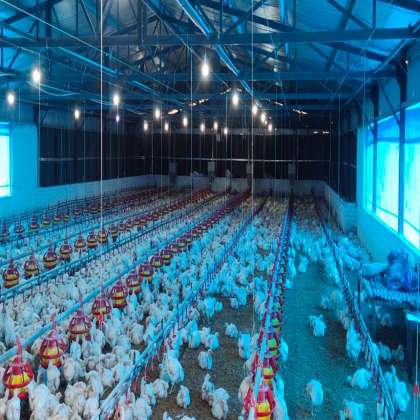 Pan Feeding System, 