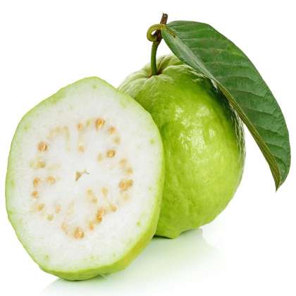 Guava White, organic guava in hyderabad,organic guava in kukatpally,organic fruits in hyderabad,organic fruit store in miyapur,organic fruits in gachibowli,organic fruits in kukatpally