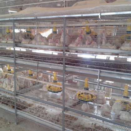 H Type Boiler Battery Cage, 