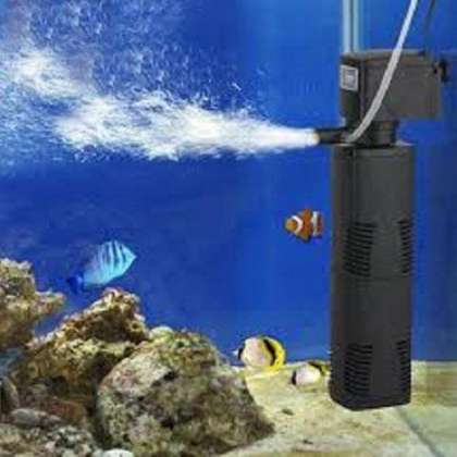 Aquarium Fillters, fish aqurium shop in chandigarh