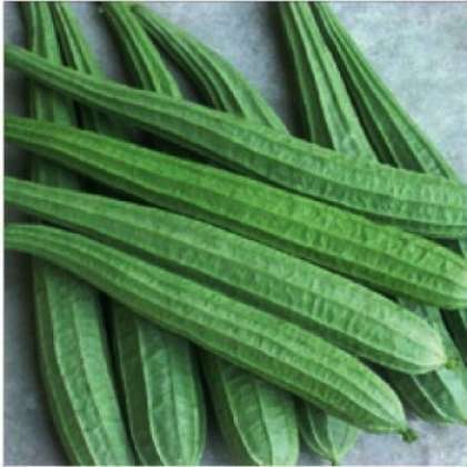 Ridge Gourd, organic vegetables in hyderabad,organic vegetables in miyapur,organic vegetables in kukatpally,organic vegetables in gachibowli