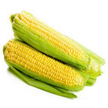 Sweet Corn, organic vegetables in hyderabad,organic vegetables in miyapur,organic vegetables in kukatpally,organic vegetables in gachibowli
