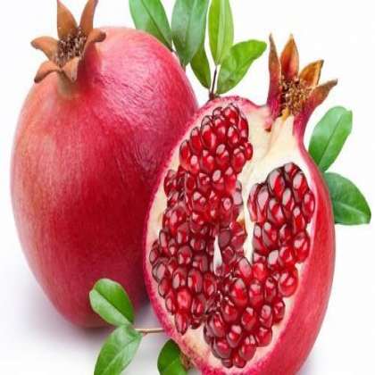 Pomegranate, organic fruits in Hyderabad,fruits in Hyderabad,fruit shops in Hyderabad,fruits in miyapur,online fruit shop in kukatpally,organic fruits in lingampally,organic fruits in nizampet