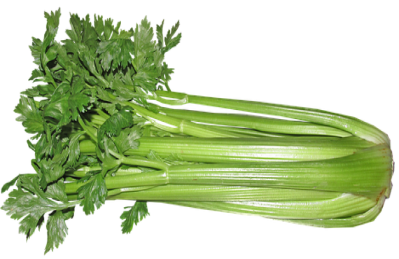 Celery, Celery