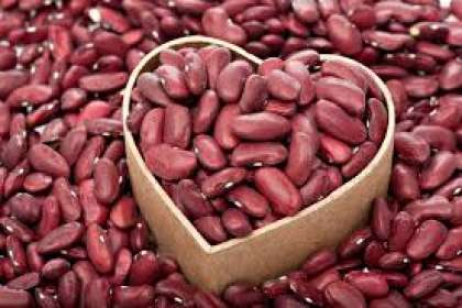 D&G Herbs, #kidneybeans # organic