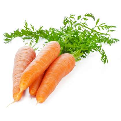 Carrot Ooty, Organic Vegetables in hyderabad,Organic Vegetables in miyapur,Organic Vegetables in kukatpally,Organic Vegetables in chandanagar,Organic Vegetables in nizampet,Organic Vegetables 