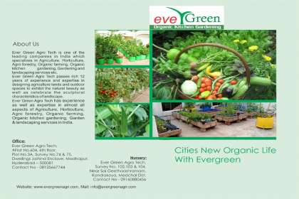 Evergreen Agro Tech, Organic kitchen Gardening in hyderabad,Organic kitchen Gardening in secunderabad,Organic kitchen Gardening in kukatpally,Organic kitchen Gardening in miyapur,madhapur,hitech city,