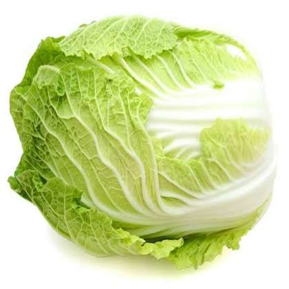Napa or napa cabbage 500gm, Napa or napa cabbage, china cabbage, napa cabbage online , buy napa cabbage online