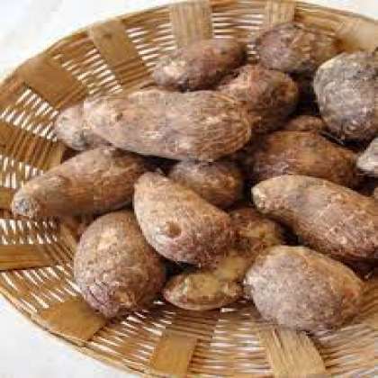 Colocasia, organic vegetables in hyderabad,organic vegetables in miyapur,organic vegetables in kukatpally,organic vegetables in gachibowli