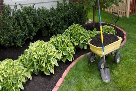 Evergreen Agro Tech, Landscaping services in hyderabad,Landscaping services in telangana,Landscaping services in secunderabad,Landscaping services in gachibowli,Landscaping services in hitech city,Landscaping services in madhapur