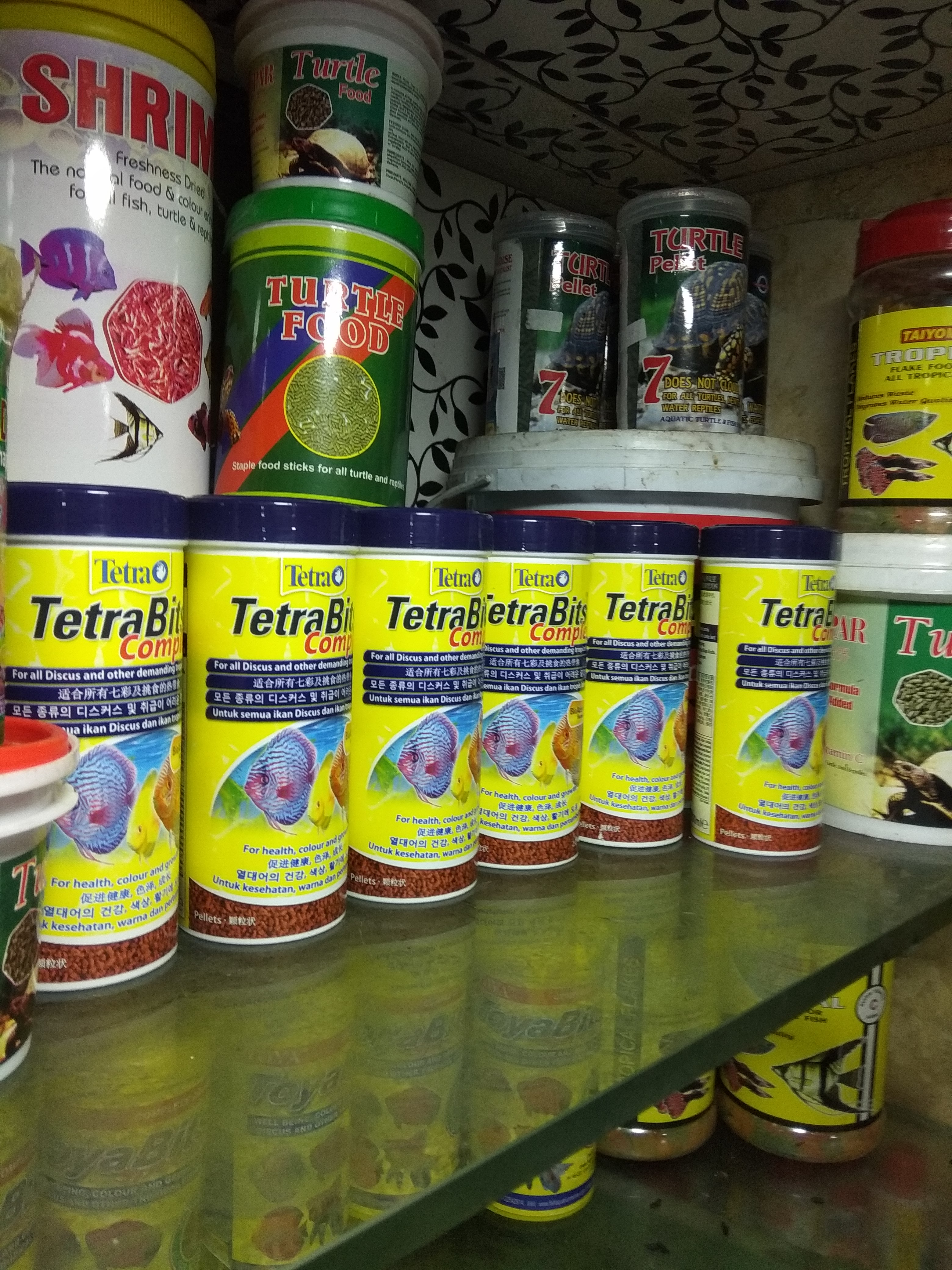 DEEPAK FISH AQUARIUM SHOP, Deepak fish aquarium shop 22D in Chandigarh 9915332799
