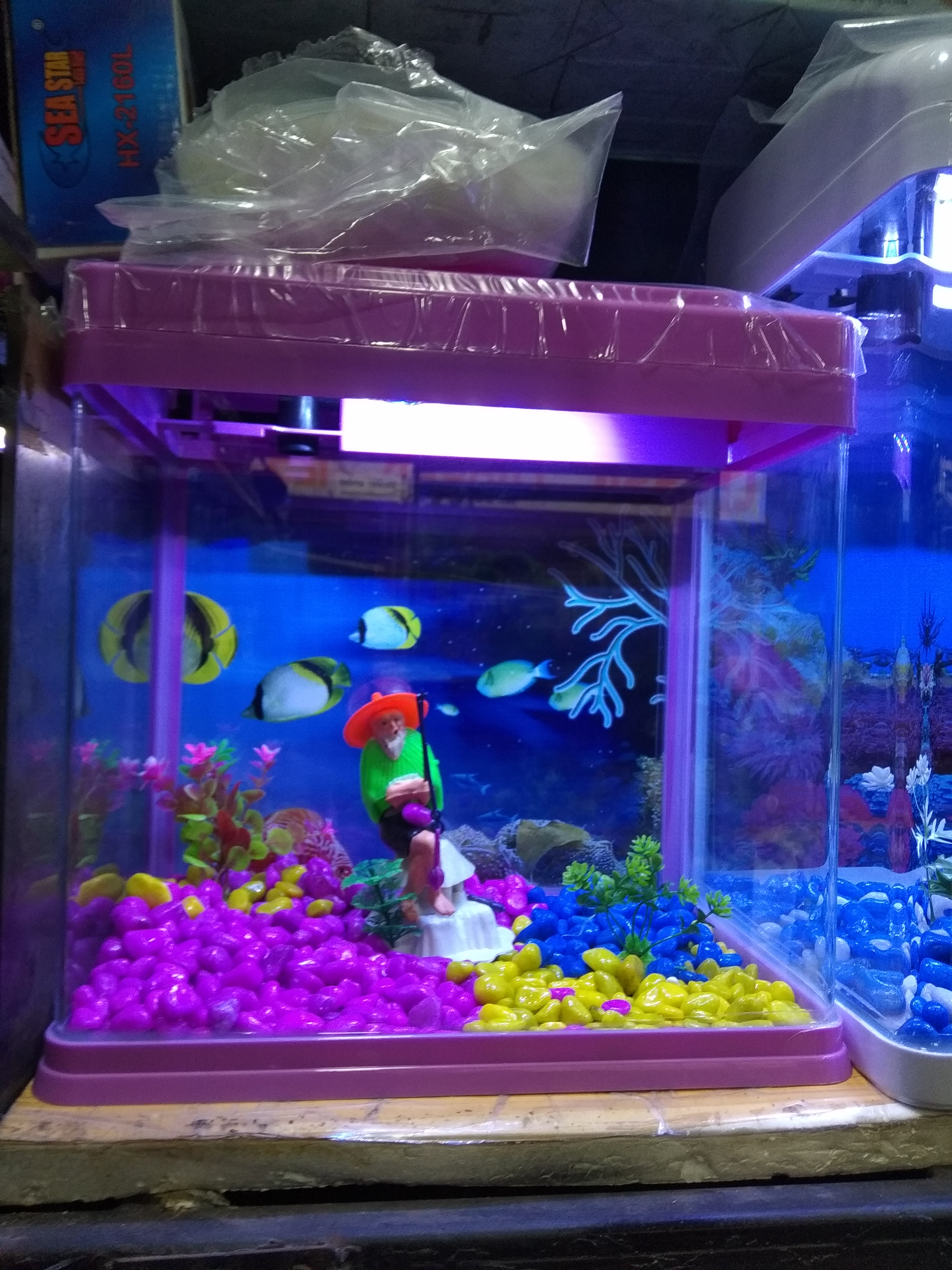 DEEPAK FISH AQUARIUM SHOP, Deepak fish aquarium shop 22D. Chandigarh 9915332799