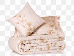 Balu's Modern Dry Cleaners, Dry cleaning services in Miyapur, kphb, rajiv Gandhi, gopalnagar,madhura nagar, pragathi nagar