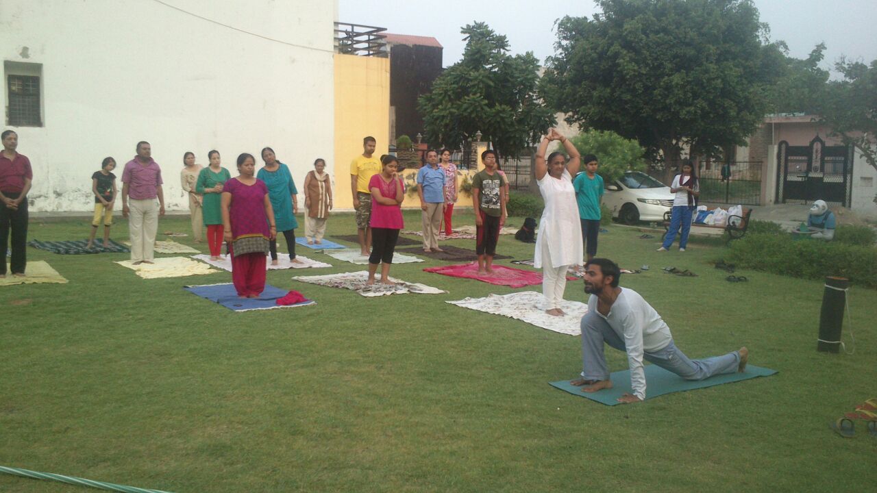 Let us help you live a pure life | Yoga World | Yoga classes in Greater Noida, yoga classes in  Gautam Buddha Nagar, Yoga classes in Unitech horizon, Yoga classes in Pari chowk, yoga classes in supertech, Amrapali, jalvayu vihar, NRI city - GL19131