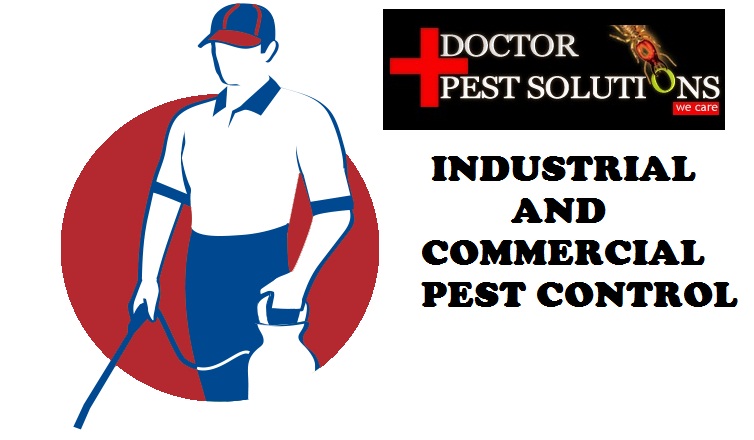 INDUSTRIAL AND COMMERCIAL  PEST CONTROL IN CHANDIGARH  | DOCTOR PEST SOLUTIONS | INDUSTRIAL COMMERCIAL  PEST CONTROL IN MOHALI,INDUSTRIAL COMMERCIAL  PEST CONTROL IN PANCHKULA,INDUSTRIAL COMMERCIAL  PEST CONTROL IN BADDI NALAGARH  - GL5906