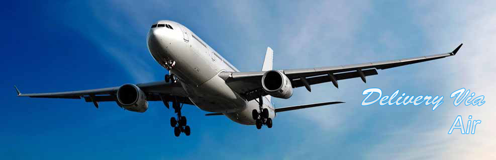 S G NETWORK COURIER SERVICES, Chennai To Singapore Courier Services In Chennai,  Best Chennai To Singapore Courier Services In Chennai,Top Chennai To Singapore Courier Services In Chennai,
