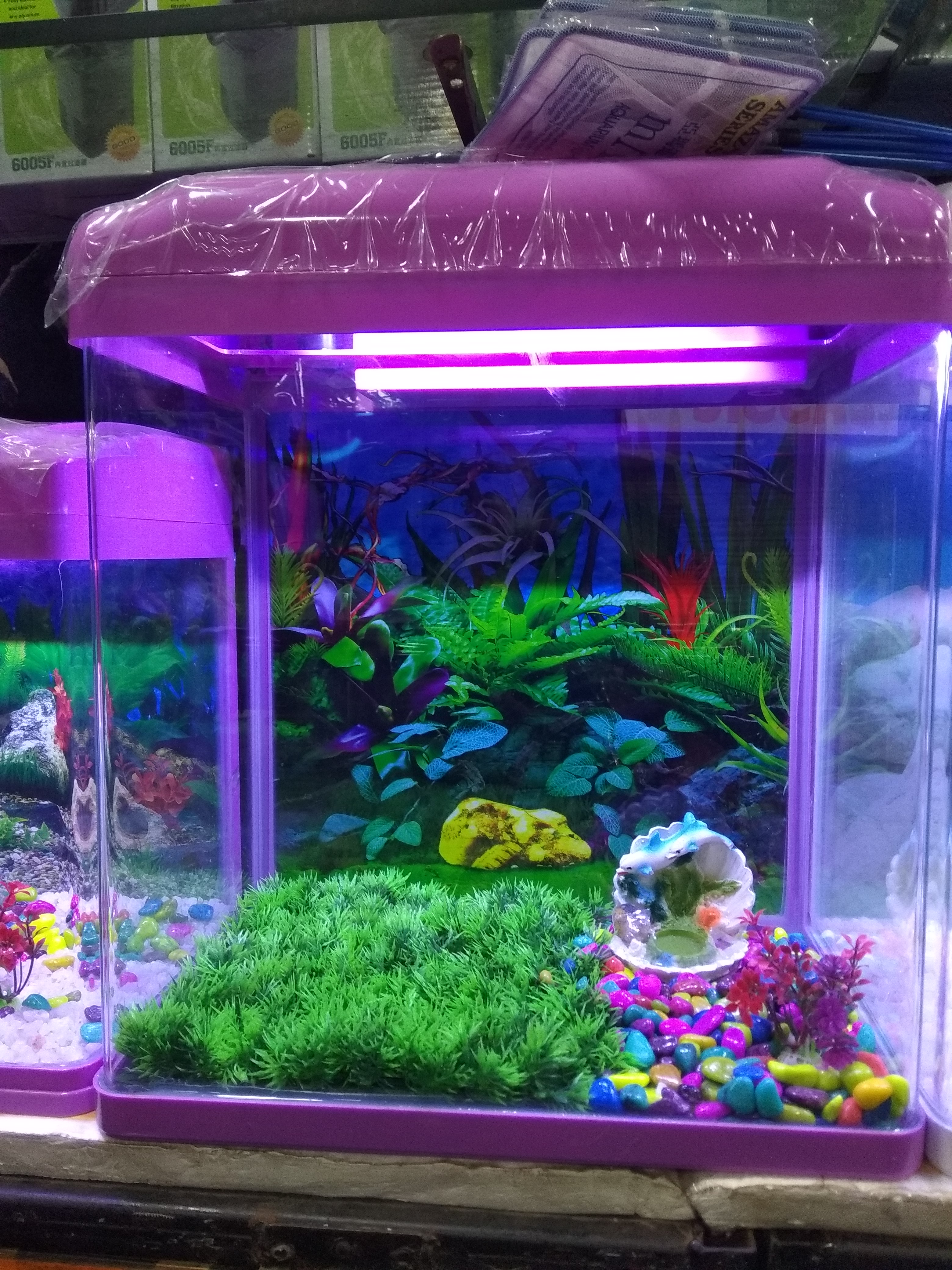 DEEPAK FISH AQUARIUM SHOP, Deepak fish aquarium shop 22D in Chandigarh 
9915332799