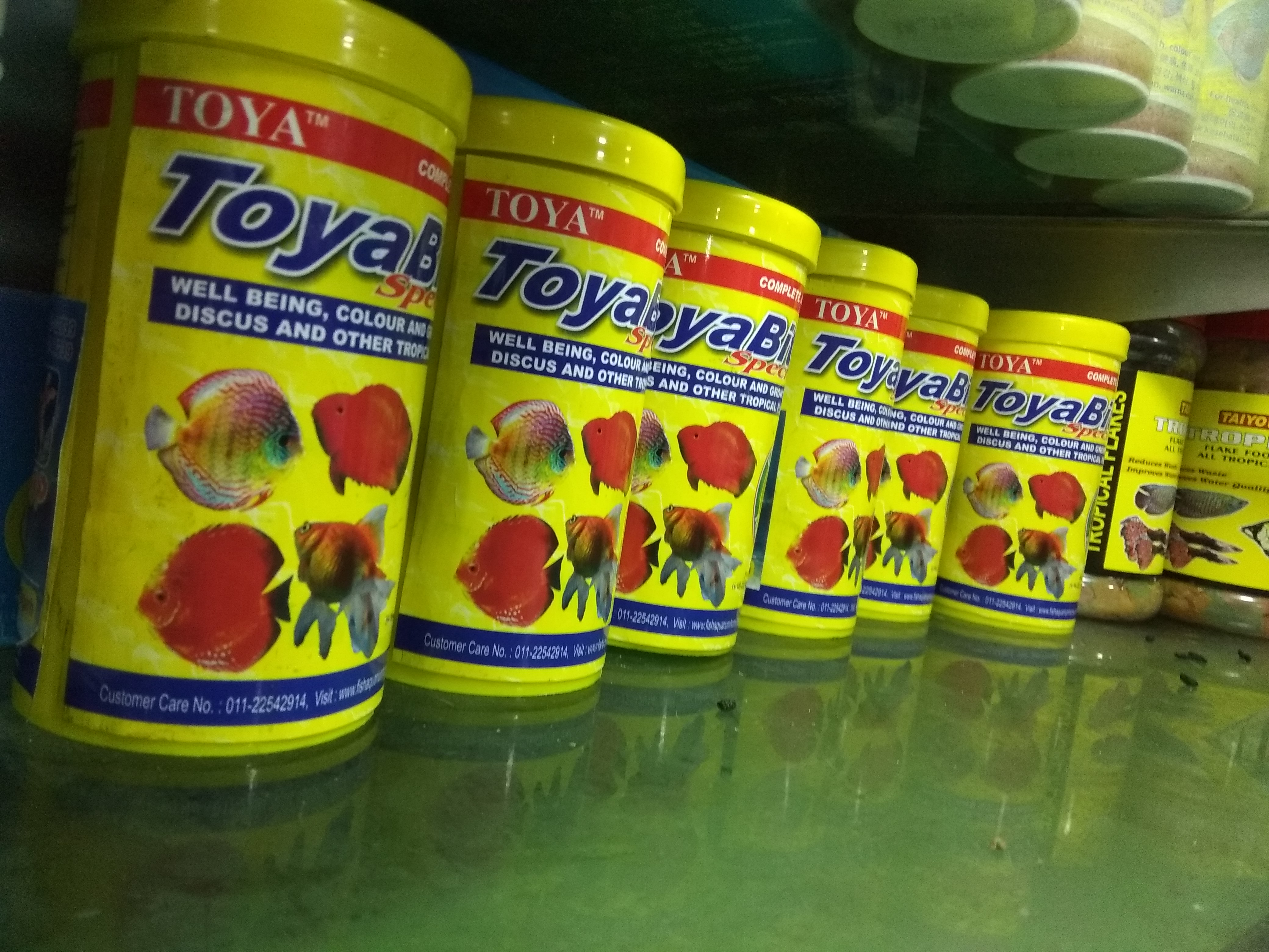 DEEPAK FISH AQUARIUM SHOP, Deepak aquarium shop 22D. in Chandigarh 9915332799