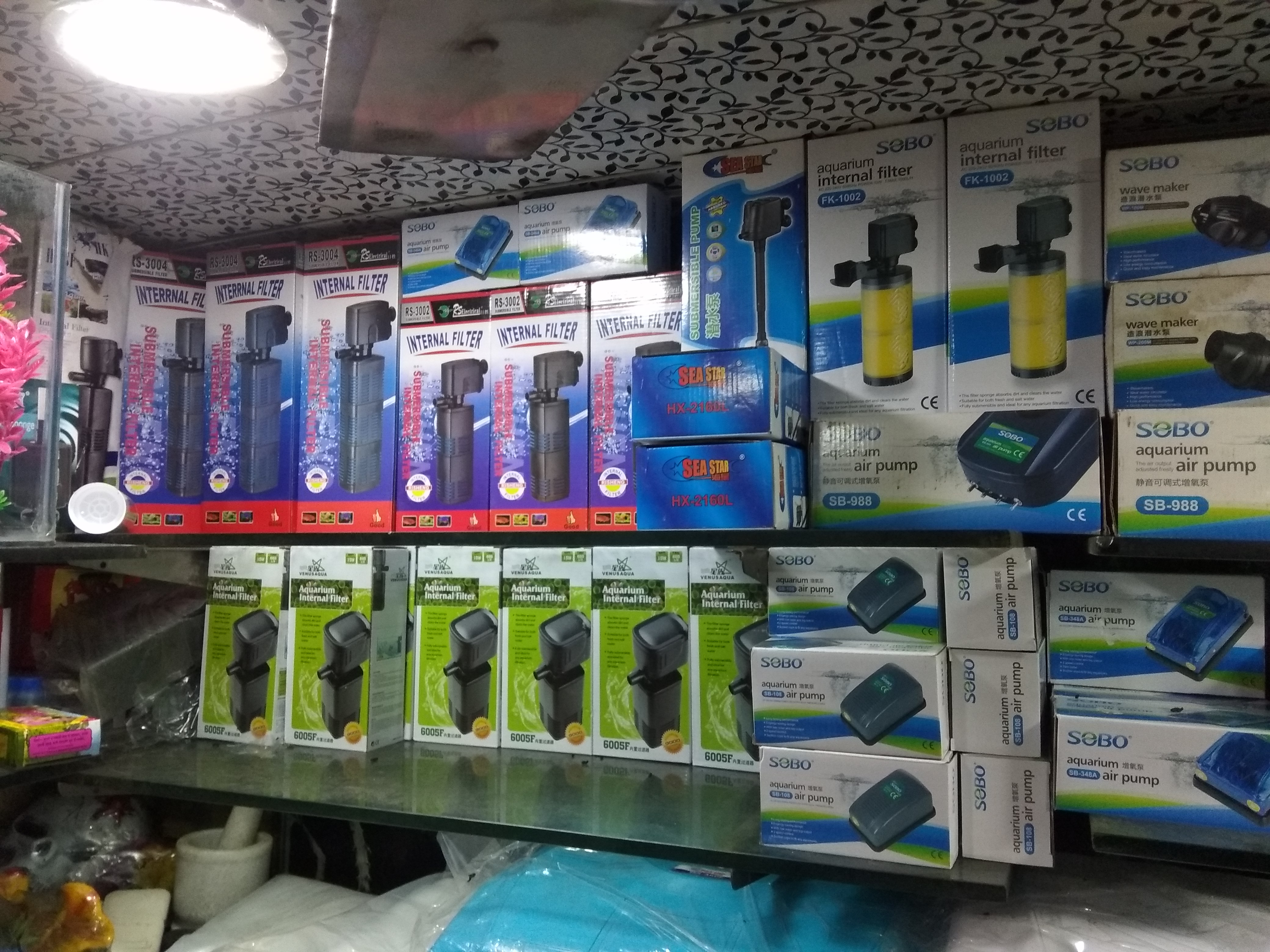 DEEPAK FISH AQUARIUM SHOP, Fish aquarium shop sector 22 D Chandigarh