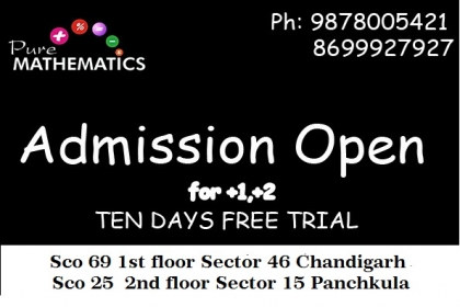 PURE MATHEMATICS, Maths classes in chandigarh,maths tuition in chandigarh,maths tuition in panchkula,maths classes for iit,jee in panchkula,maths classes in sector 32,46 chandigarh