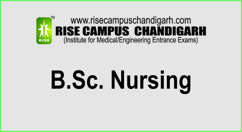 RISE CAMPUS  CHANDIGARH, Top BSc Nursing coaching center in Chandigarh,BSc Nursing in Chandigarh,BSc Nursing Coaching in Chandigarh,Top BSc Nursing center in Chandigarh,BSc 