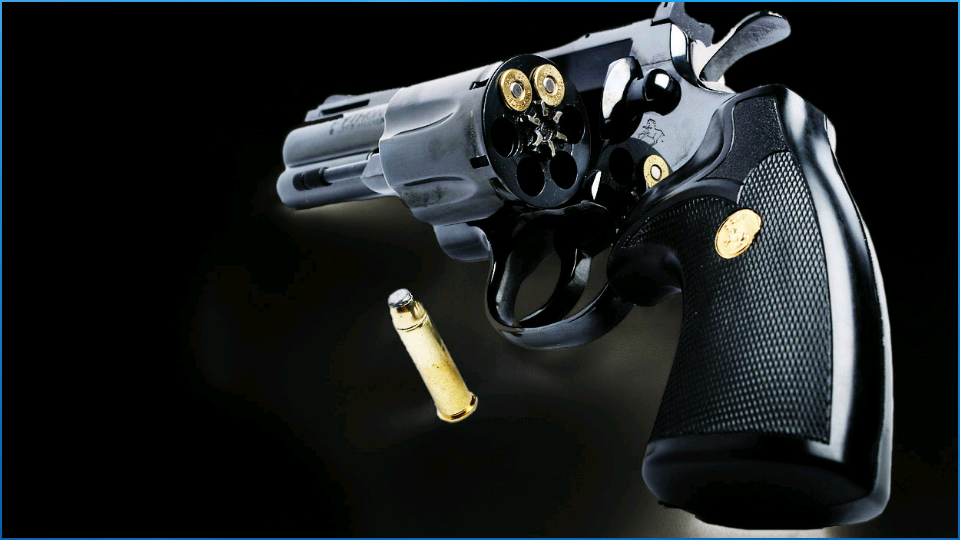 BHANDARI GUN HOUSE , Ordnance 315 bore rifle dealer in Mohali,Ordnance 30-06 bore rifle dealer in Chandigarh,gun house in Chandigarh,gun dealer in Chandigarh,top gun dealer in Chandigarh,famous gun house in Chandigarh