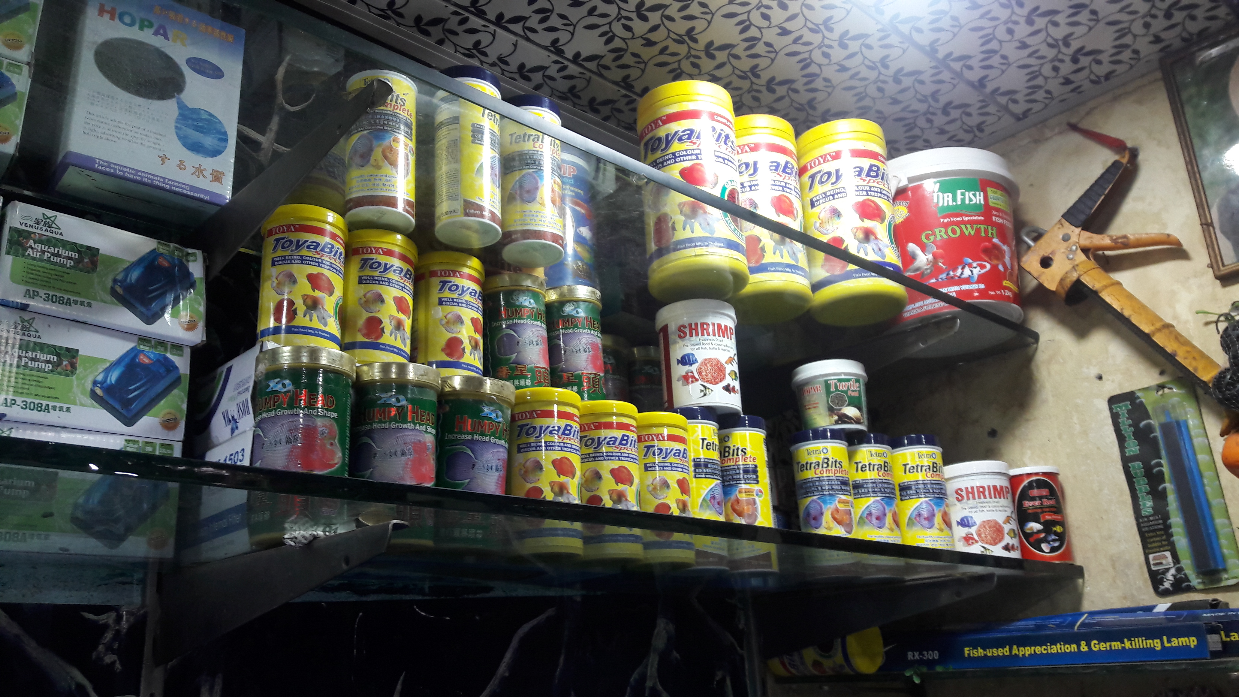 DEEPAK FISH AQUARIUM SHOP, Deepak fish Aquariums sectar 22D.Chandigarh 9915332799....