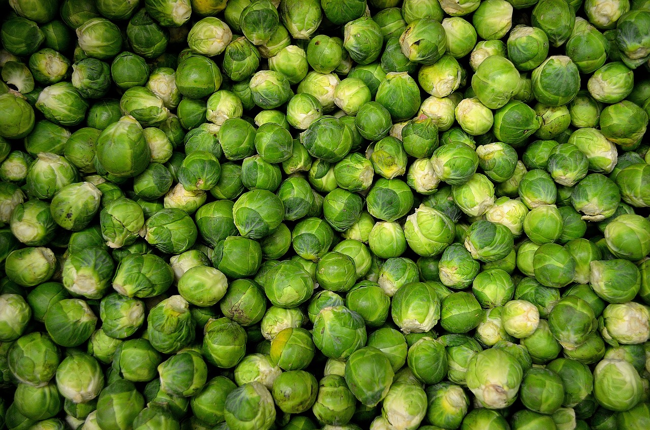 Fresh Sprouts | Annapurna Green Foods | Sprouts - GL28930