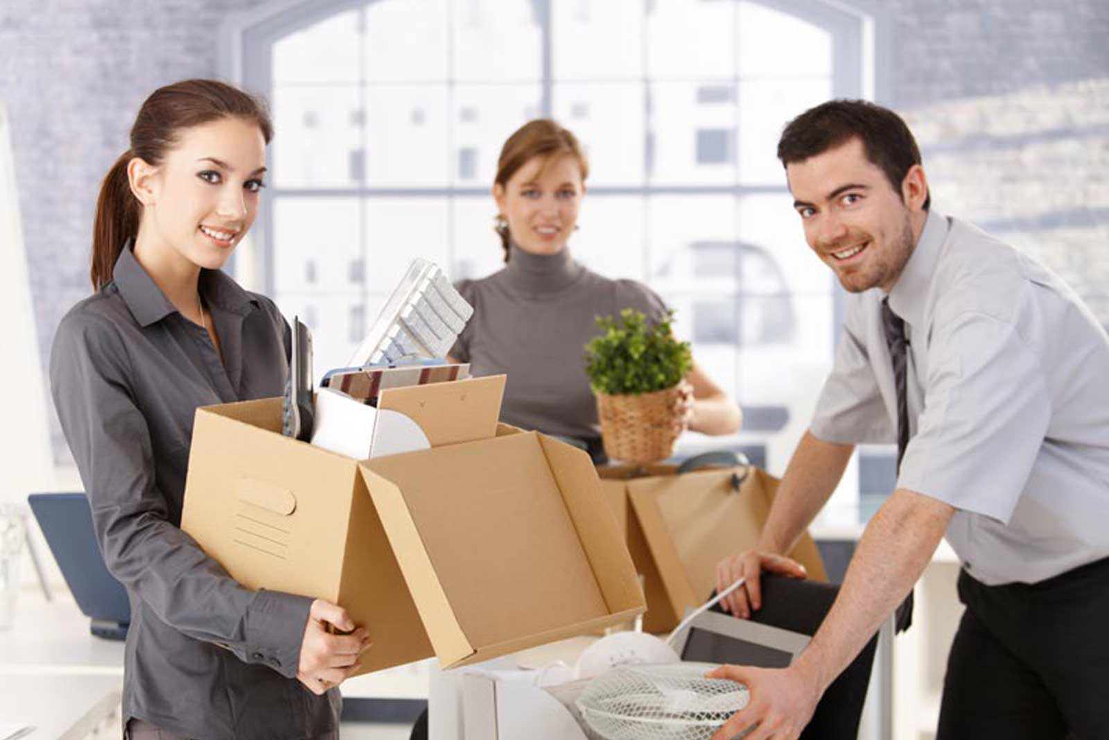 DOLPHINARIUM TRANS LOGISTICS PVT. LTD., offive relocation service provider in gurgaon, udyog vihar, dlf city, 