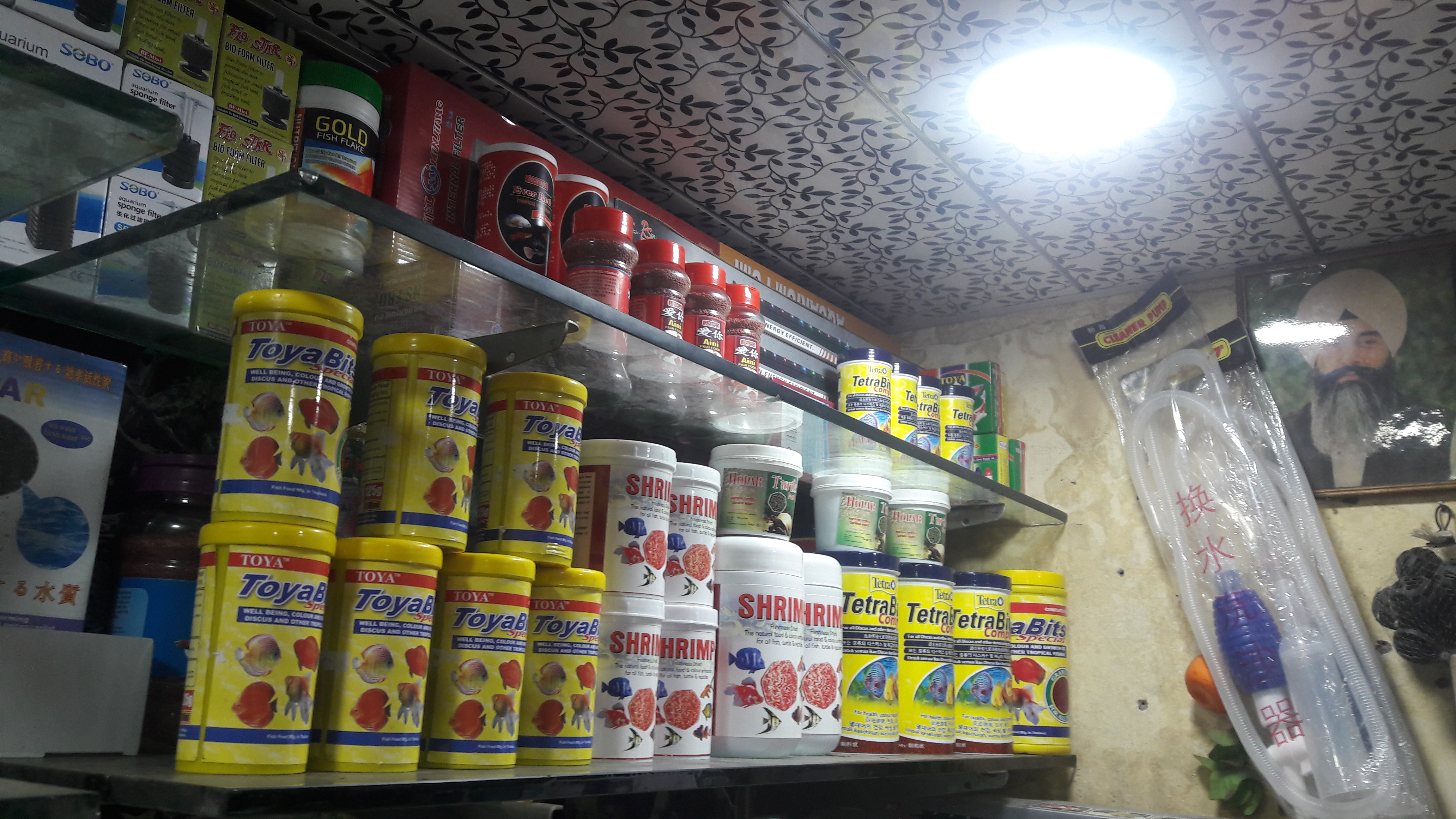DEEPAK FISH AQUARIUM SHOP, Fish aquarium shop 22D.in chandigarh