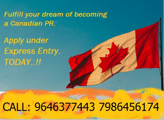 How Express entry works-Call Best Immigration consultant @ 7986456174- Transformers Immigration and Education consultant | Transformers Immigration and Education Consultants | Top Canada PR consultant in Panchkula, Top Canada immigration consultant near Panchkula, Best Canada PR Consultant near Zirakpur, Most trusted immigration Consultant in Tricity, Express Entry - GL97427