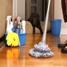 Angel Facility Management Services, HOUSEKEEPING IN BANER, HOUSEKEEPING SERVICES IN BANER, FACILITY MANAGEMENT SERVICES IN BANER, DEEP CLEANING SERVICES IN BANER, FLAT DEEP CLEANING SERVICES IN BANER, HOUSE DEEP CLEANING SERVICES BANER.