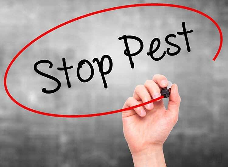 DOCTOR PEST SOLUTIONS, PEST CONTROL,PEST CONTROL SERVICES IN CHANDIGARH, BEST PEST CONTROL SERVICE PROVIDER IN CHANDIGARH , PEST CONTROL IN CHANDIGARH,PEST CONTROL IN MOHALI