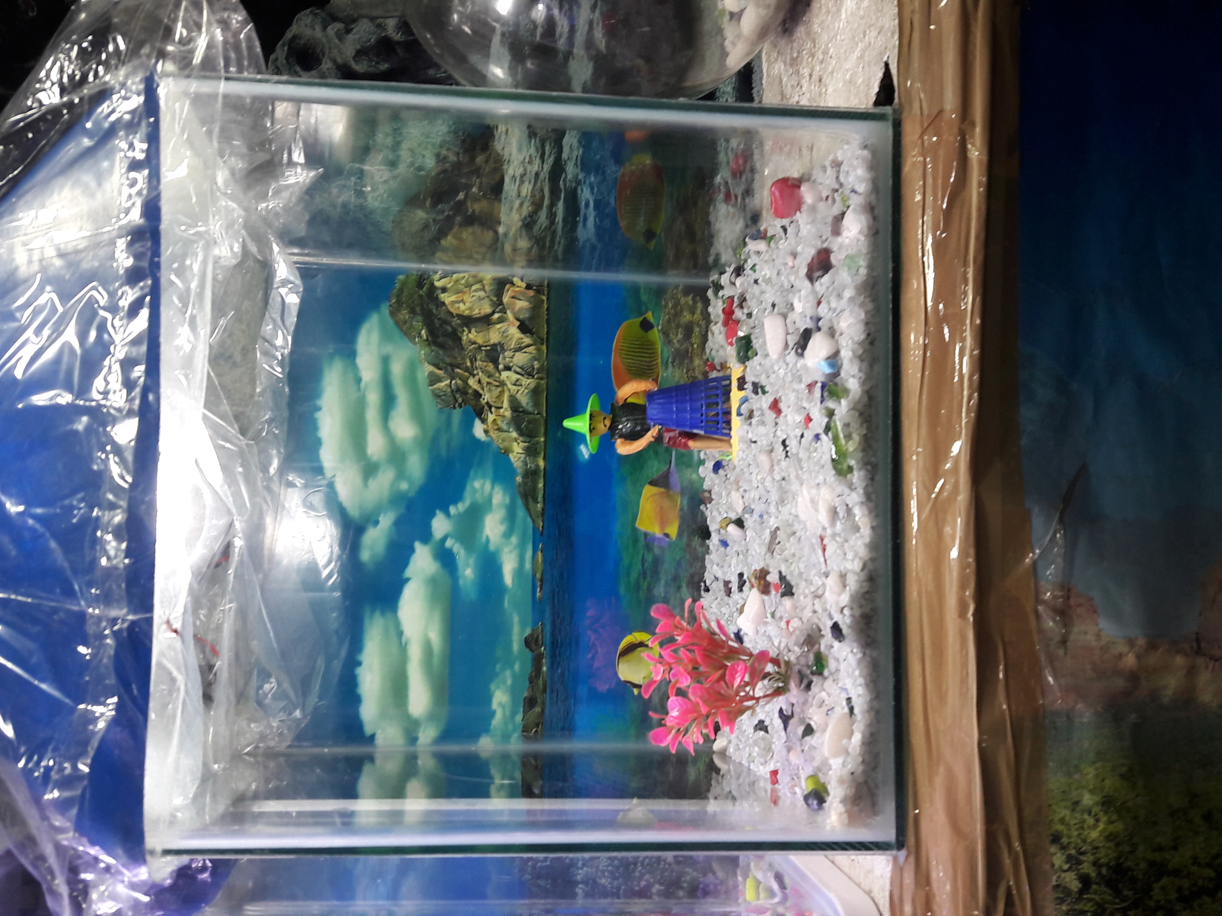 DEEPAK FISH AQUARIUM SHOP, Deepak fish Aquariums 22.D CHANDIGARH AND PETS SHOP.