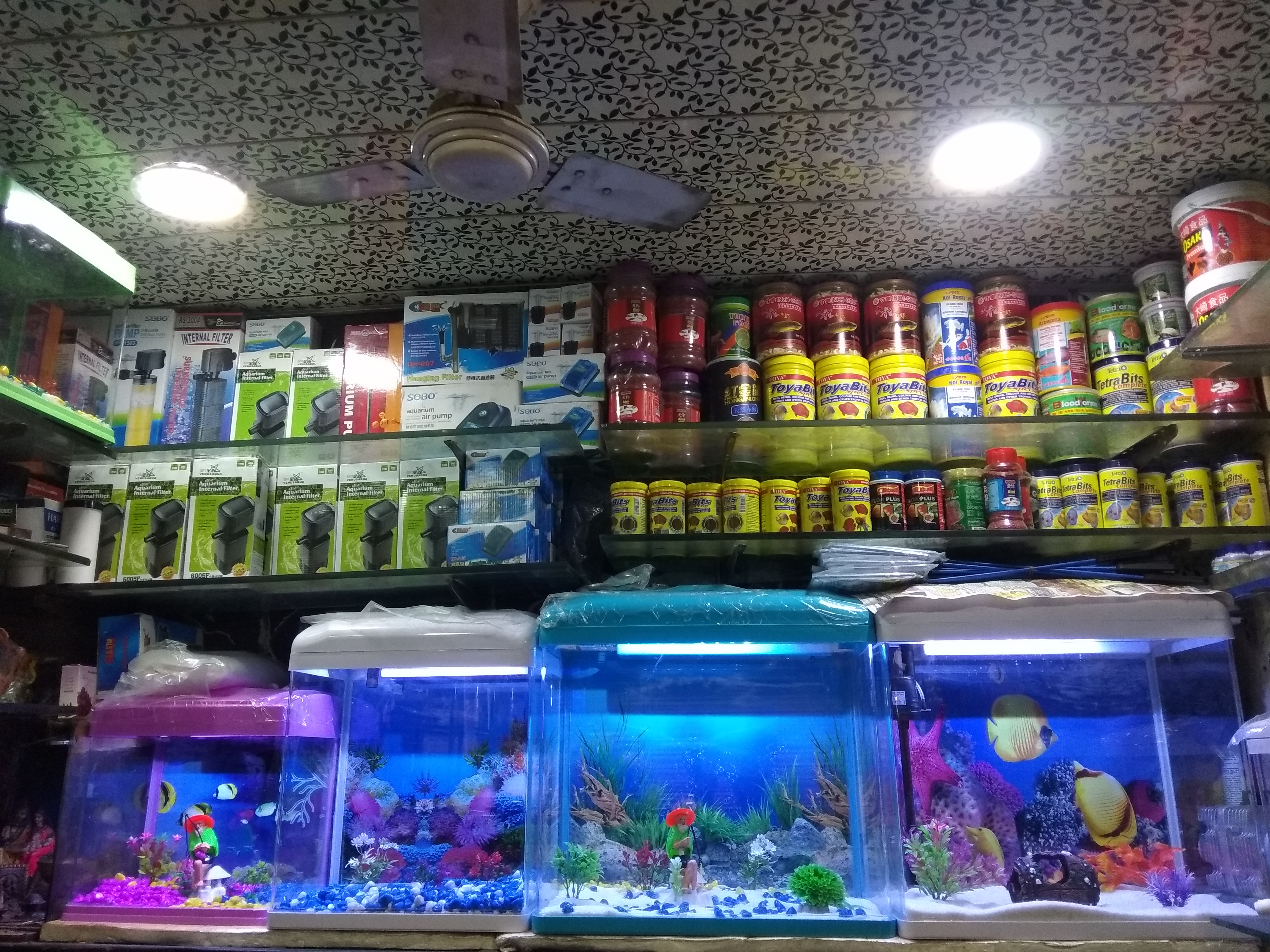 DEEPAK FISH AQUARIUM SHOP, Aquarium shop 22D in Chandigarh