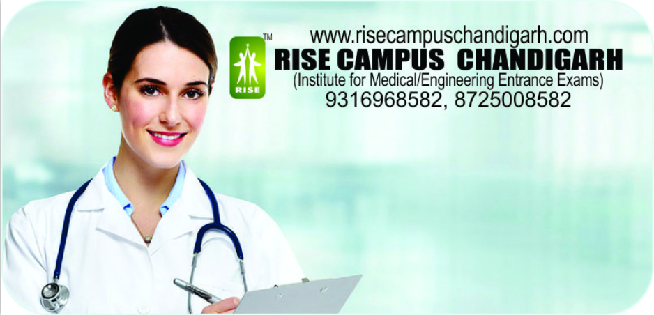 RISE CAMPUS CHANDIGARH, Best Institute In Himachal For NEET,Institute In Himachal For NEET,Coaching Center In Himachal For NEET,Best Coaching In himachal For NEET,NEET 